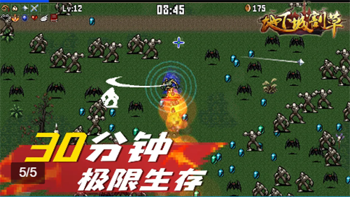 Grass Cut地下城割草神器版（附攻略）下载-Grass Cut地下城割草下载v5.1