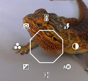 Snap Camera HDR中文最新版下载-Snap Camera HDR下载v7.0