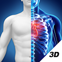 3d人体解剖图谱app免费版下载-3d人体解剖图谱破解版下载v1.3.0