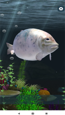 点击进化手游下载-点击进化纯净版无广告下载v1.0