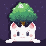 飞天萌猫Cat Bird