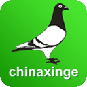 中国信鸽信息网app官网下载-中国信鸽信息网手机版下载v20220125