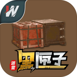 迷雾黑匣子正式版