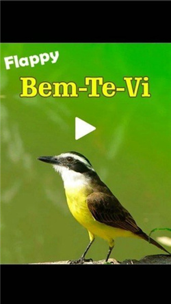 飞扬的班特维无尽版下载-飞扬的班特维下载v1.0.0.2