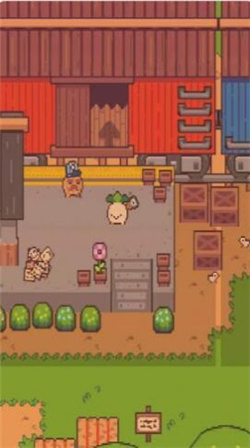 大头菜小子游戏下载-大头菜小子手机版下载v1.1.8