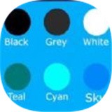 弹珠大逃亡游戏