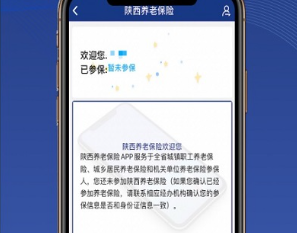 陕西养老保险app下载安装2022年-陕西养老保险app下载安装v2.1.37