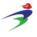 云上宁阳手机客户端