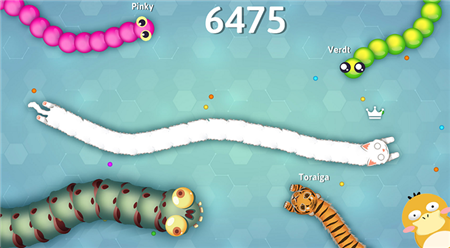 small_16556921898QKy