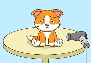 脑力智能智商测验去广告中文版下载-脑力智能智商测验游戏下载v1.1.2