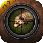 森林狩猎中文版下载-森林狩猎游戏下载v2.2
