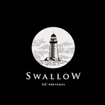 嗜憶Swallow中文版下载-嗜憶Swallow游戏下载v1.0