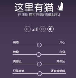 这里有猫正式版