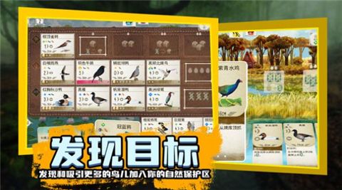 鸟类观察家游戏下载-鸟类观察家最新安卓下载v1.1.101