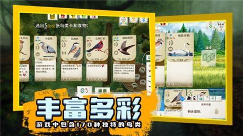 鸟类观察家游戏下载-鸟类观察家最新安卓下载v1.1.101