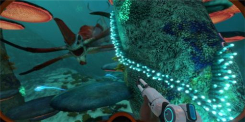 1592d39e-3dde-4ed7-a2a0-a20d2d358559