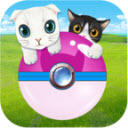 一起来捉猫2022手机版