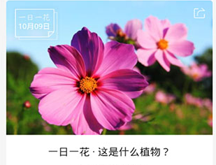 识花君拍照识别免费版下载-识花君拍照识别下载V22.05.11