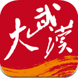 大武汉APP