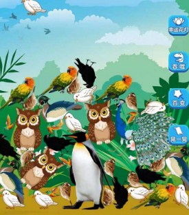 熊猫大师小游戏安卓版下载-熊猫大师小游戏下载v1.0