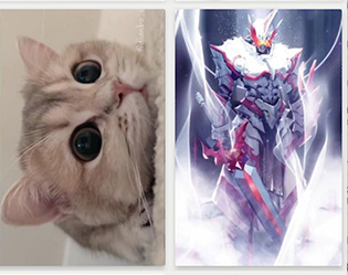 星空壁纸app中文版下载-星空壁纸app下载V2.1