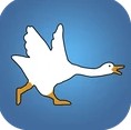 咕咕鸽安卓版手机版
