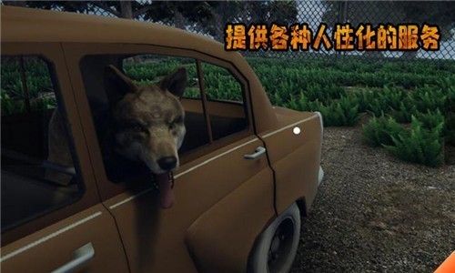 边境官游戏最新安卓版下载-边境官游戏正版下载v1