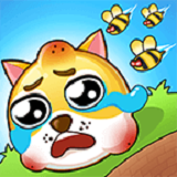 狗狗肿么了安卓版