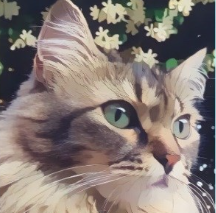 美图wink画质修复下载-wink画质修复安卓下载v1.1.6