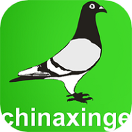 中国信鸽信息网官方免费版