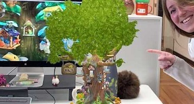 翼彼迎无限金币版2022下载-翼彼迎游戏破解版下载v1.333