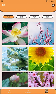 超能王国安卓版