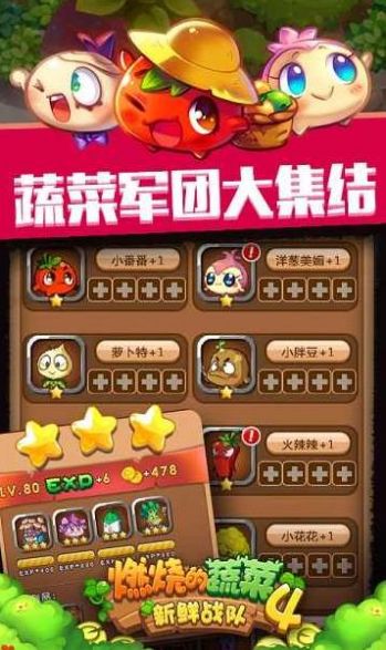 燃烧的蔬菜4游戏最新版本