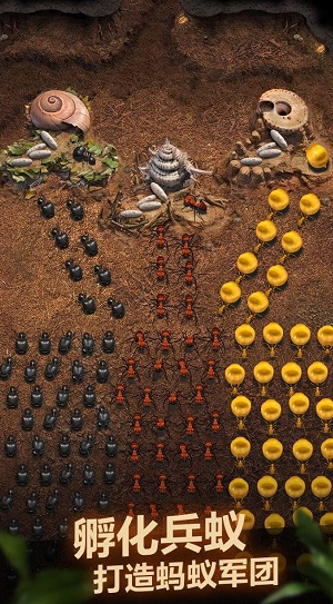 小小蚁国测试服2022最新版下载-小小蚁国官方版下载v1.32.0