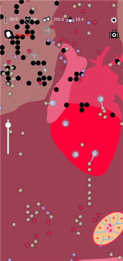 923c5acf95030d50dd3e0dc34e9faf19