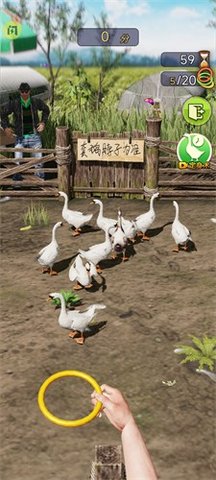 天天套圈安卓版