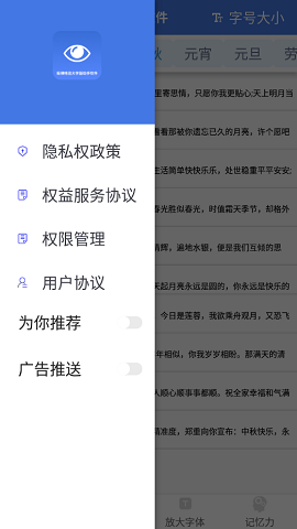 纵横畅览大字版助手