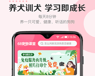 68宠物免费版下载-68宠物下载V5.3.45.2