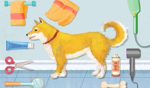 超级解压馆游戏下载-超级解压馆破解版无广告下载v1.2