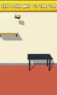 瓶子翻转大师官网版下载-瓶子翻转大师下载v1.4