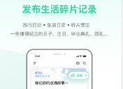 tippot下载最新版-tippot安卓中文版v1.1.3