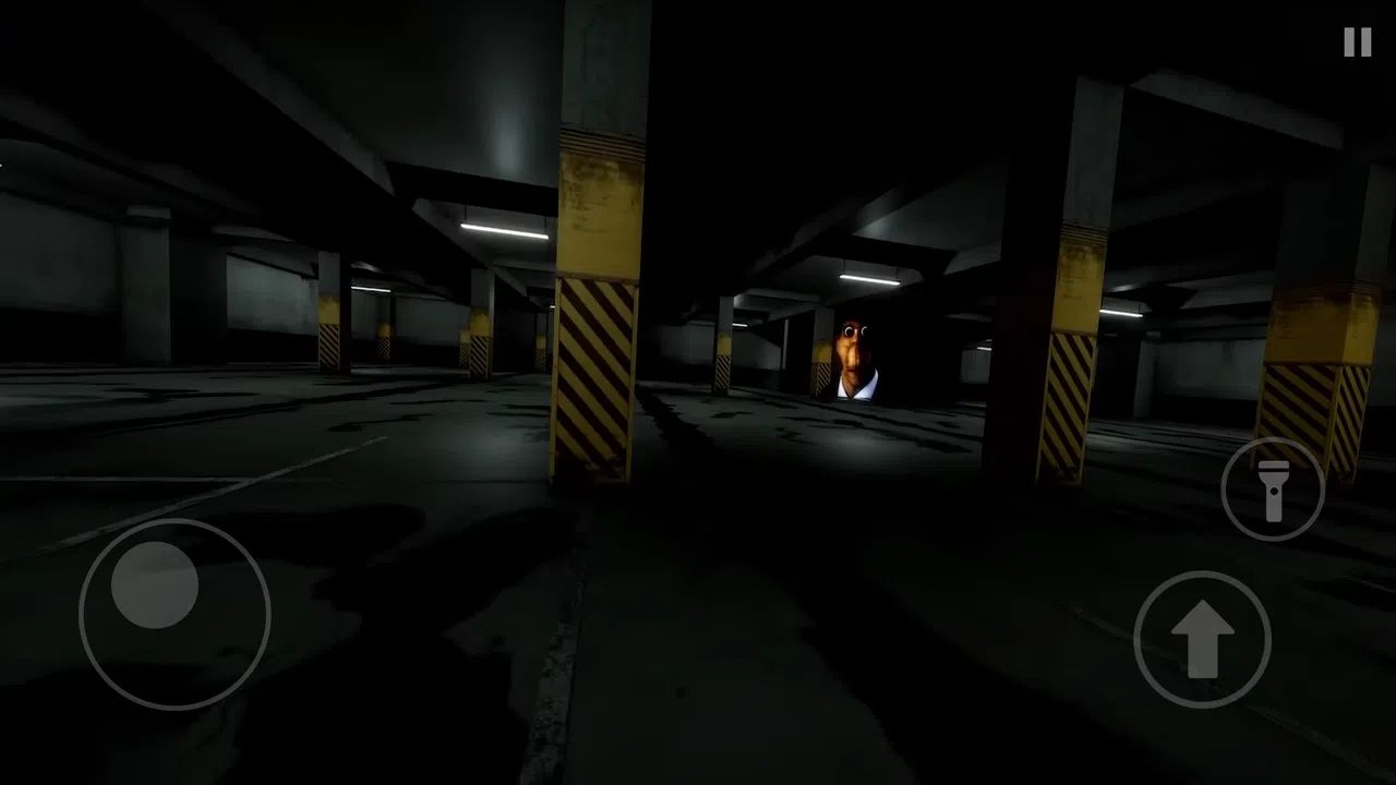 奥本加追逐游戏最新版