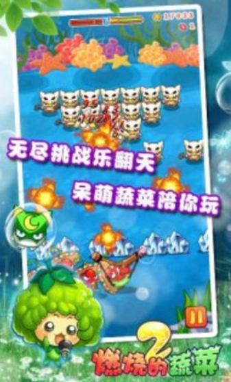 燃烧的蔬菜2游戏下载-燃烧的蔬菜2免广告下载v3.2.0