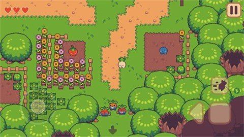 大头菜小子逃税了游戏