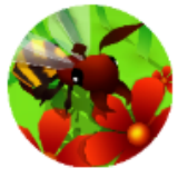 蜜蜂进化3d免广告版下载-蜜蜂进化3d免广告无限资源破解版下载v2.1