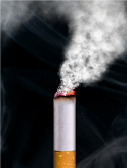 香烟模拟器下载安装-香烟模拟器游戏下载安装手机版v2.0