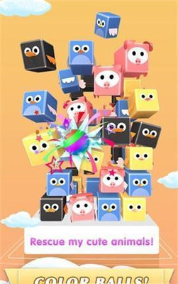 方块鸟大师游戏