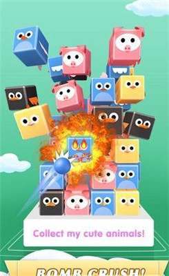 方块鸟大师游戏