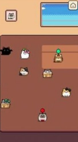 本喵王饿了手机版下载-本喵王饿了官方版下载v1.102