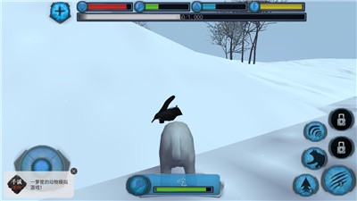 终极北极熊模拟器游戏下载-终极北极熊模拟器无限经验版下载v1